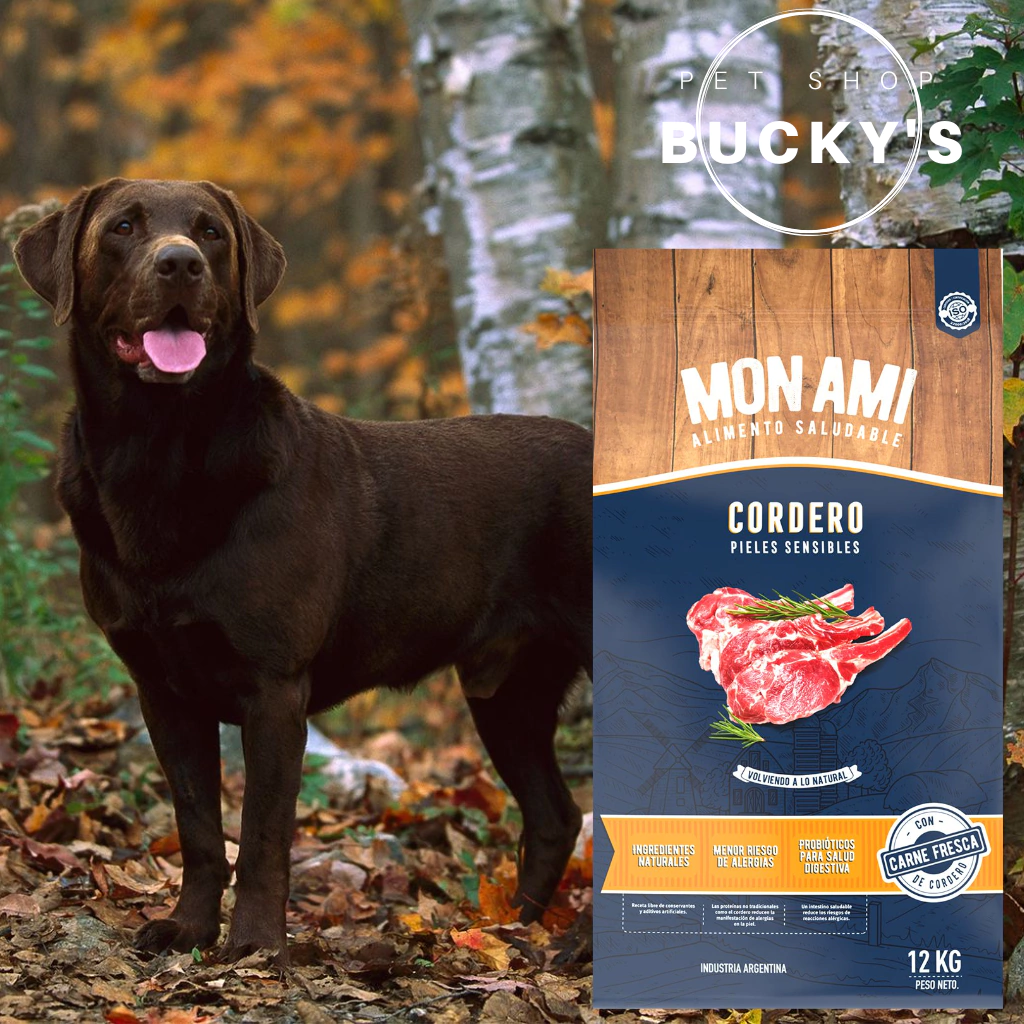 ALIMENTO MON AMI CORDERO PARA PERRO ADULTO