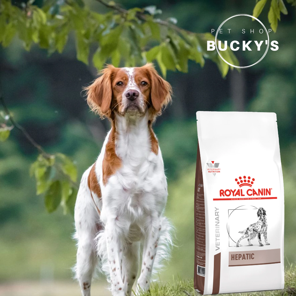 Royal Canin Dog Hepatic