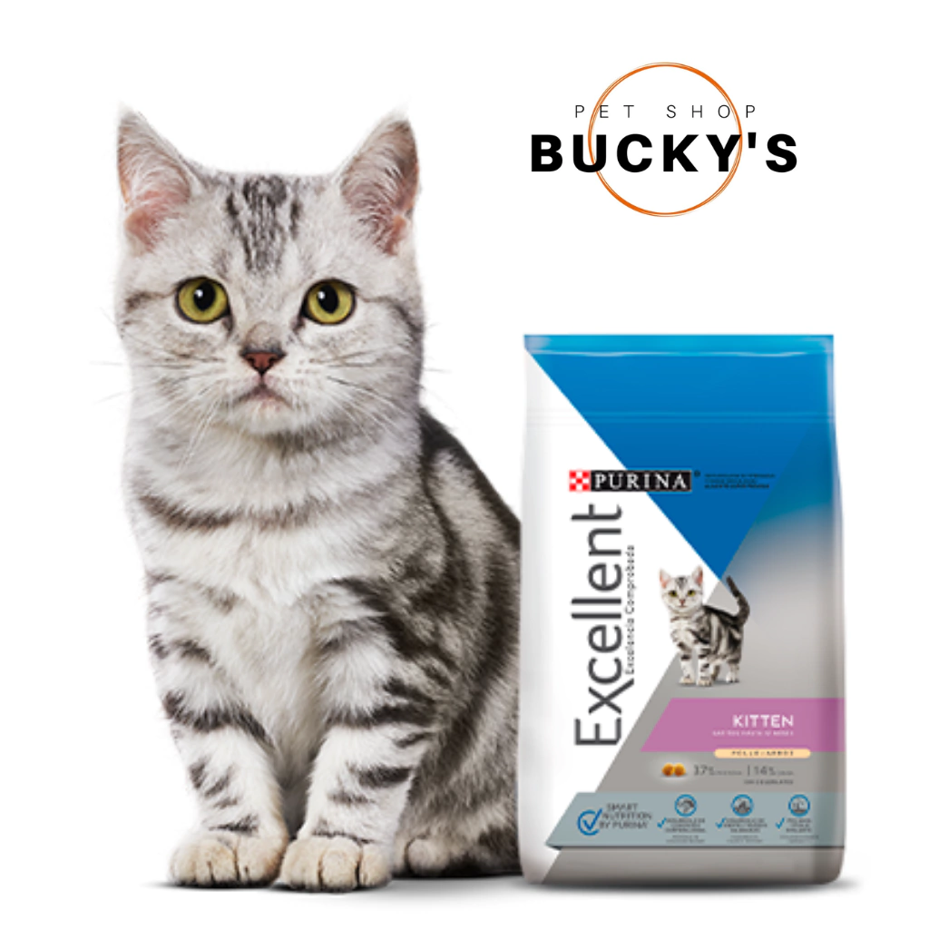 EXCELLENT KITTEN - POLLO Y ARROZ
