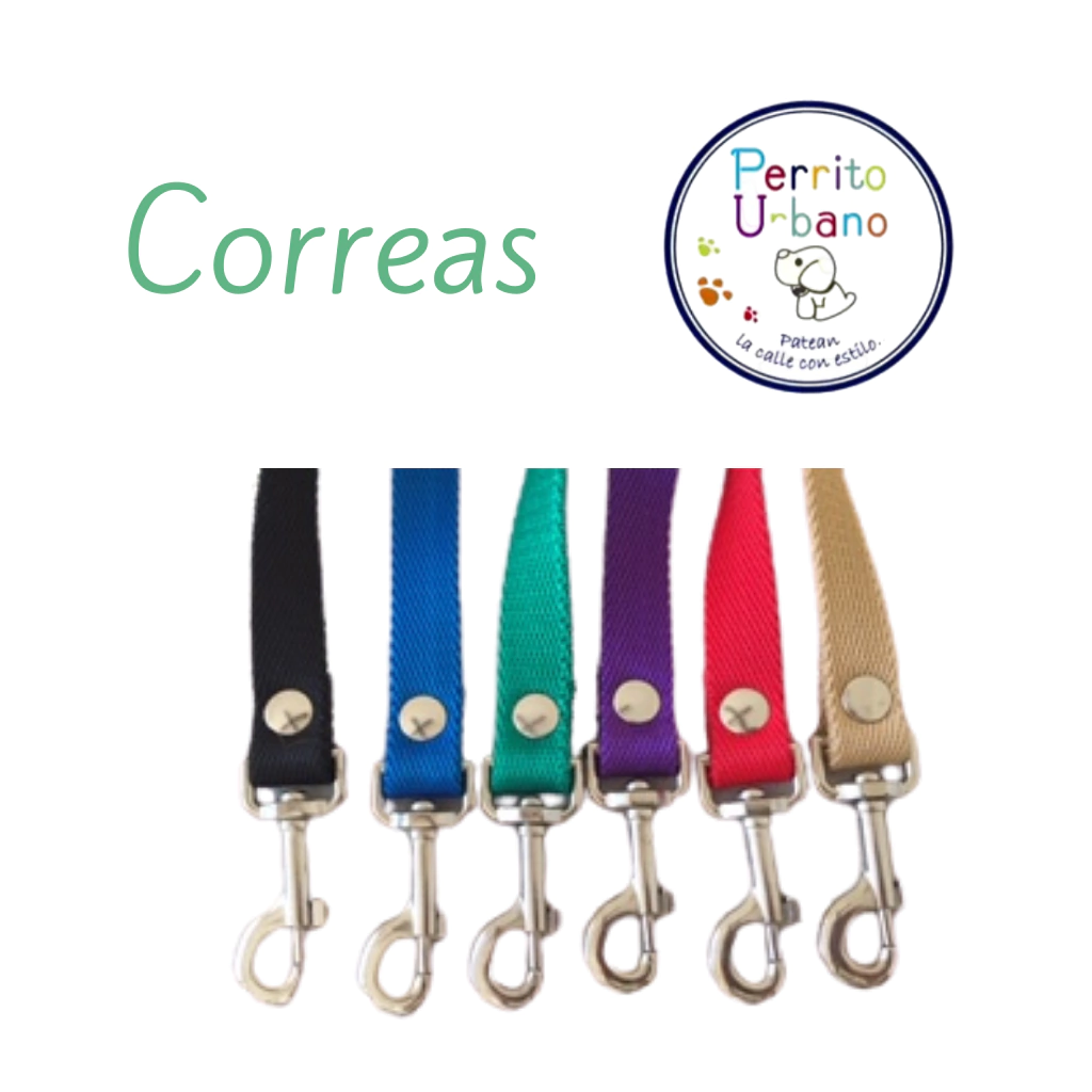 CORREAS DE COLORES