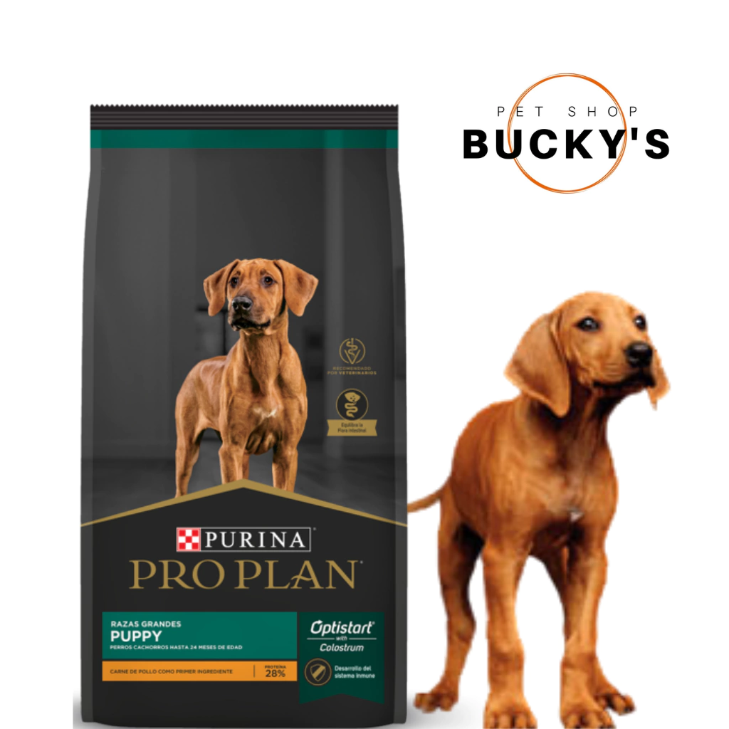 PRO PLAN PUPPY LARGE BREED - RAZAS GRANDES