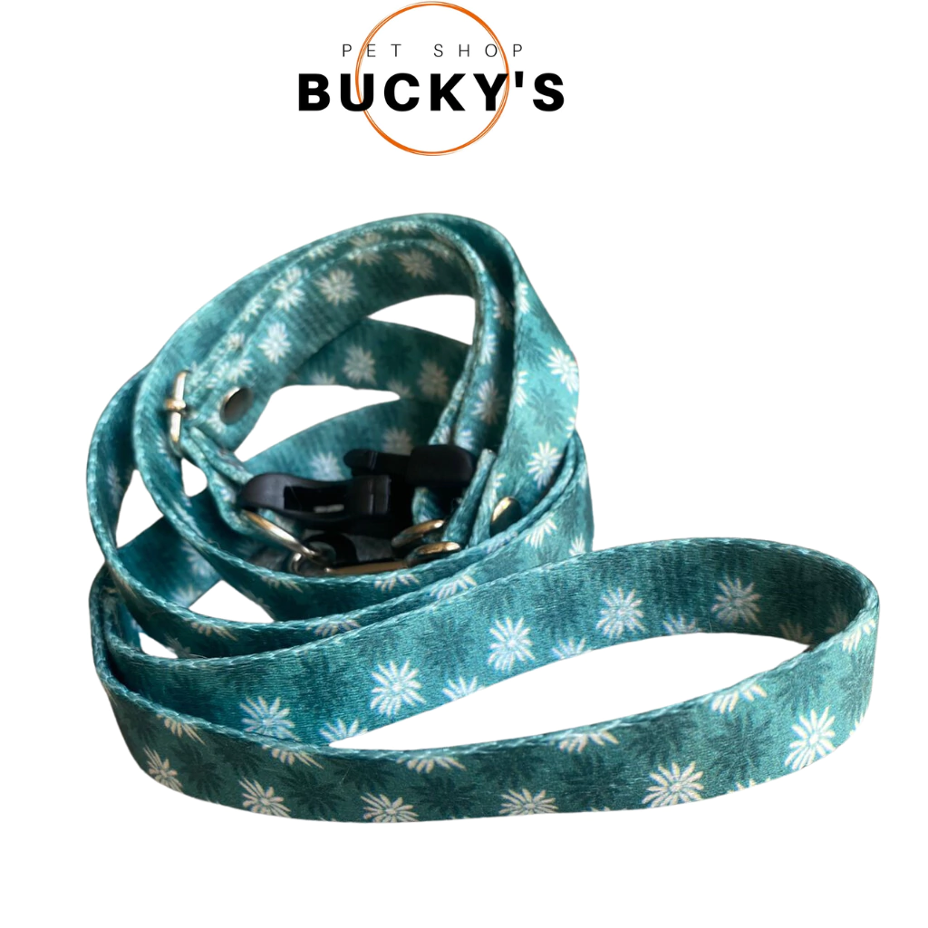 CONJUNTO CORREA Y COLLAR REGULABLE