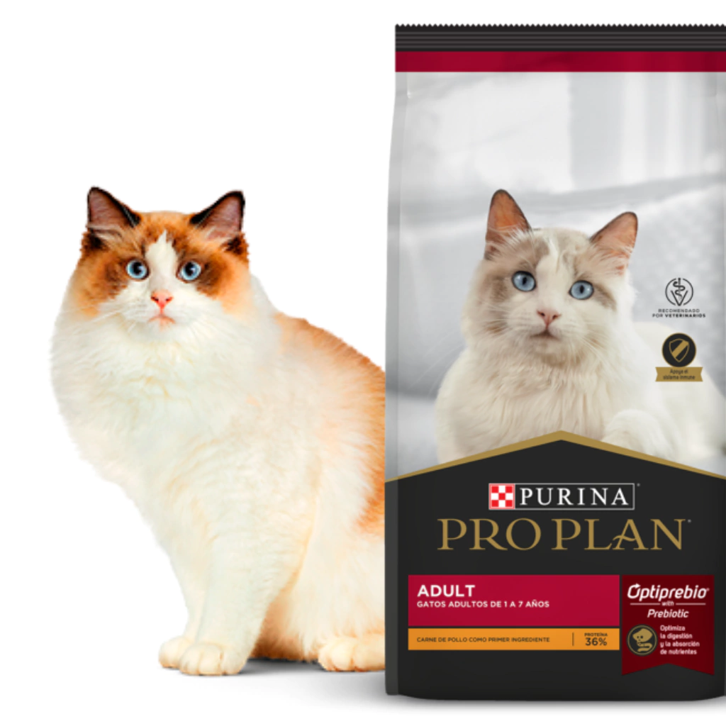 PRO PLAN CAT ADULT - CON OPTIPREBIO