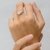 Anillo Paihuen