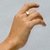 Anillo Paihuen en internet