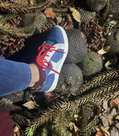 Zapatillas Gold - tienda online