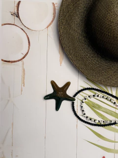 Collar estrella Mar en internet