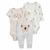 Carters Set 3 Piezas Body Mangas Largas Body Mangas Cortas Pantalon Koala