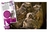 Luminias - Aves - comprar online
