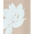 Carters Osito-Pijama Algodón Cierre (2Q560810) - comprar online