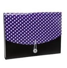 Pasta Sanfonada Polibras A4 12 Div DOTS - comprar online