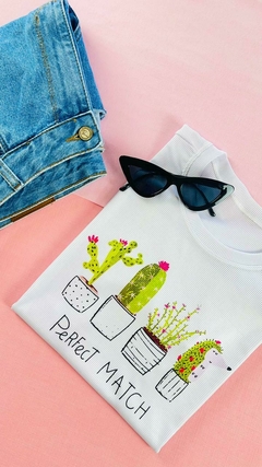 T-shirt Canelada Jarros de cactos na internet