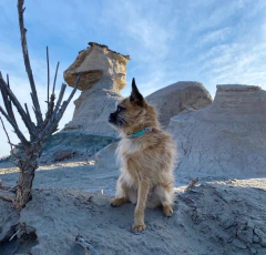Mapa de San Juan - Sol Fernandez