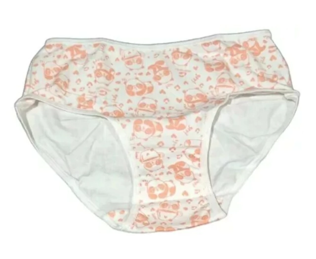 Bombacha Niña Talle 5 Estampada Algodon Lycra Elemento 604 en internet