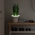Vaso Para Plantas E Luminária Led Ora Umbra - Delar