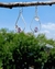 Aros en plata 925 en forma de gotas con florecitas y cristales lavanda en internet