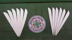 VANE - AAE ELITE PLASTIFLETCH 50 - 12un - Arqueria Curitiba