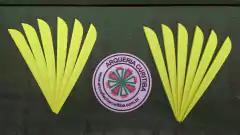 Imagem do VANE - AAE ELITE PLASTIFLETCH 50 - 12un