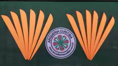 VANE - AAE ELITE PLASTIFLETCH 50 - 12un