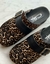 Birken Champ en internet
