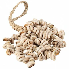 Ristra Cowrie