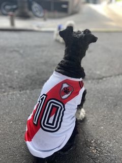 Camiseta de River