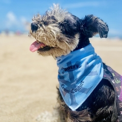 Bandana Cooling - comprar online