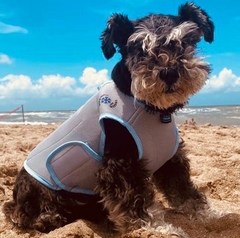 Chaleco Cooling con Gel Frio+ Bandana Free - Canine Couture