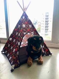Carpa Tipi LV