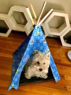 Carpa Tipi Gucci