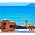 Ukulele Acústico: Soprano, Concert ou Tenor - comprar online