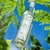 Perfume textil Té verde y Jengibre 200ml