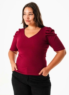 REMERSA ARKANSAS en internet