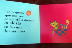 Gato que duerme (tapa rustica) - comprar online