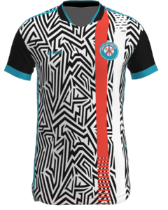 Imagem do Camiseta Goleiro PS4 FC