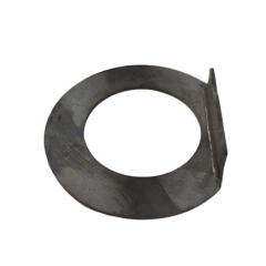 EV987 - ARRUELA na internet