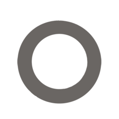Washer Carraro 3216660 - buy online
