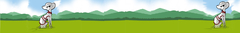 Banner for category Tips for dog welfare