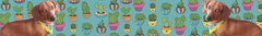 Banner for category Daschund Accessories