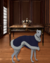 Sobretudo Pet Luxo para Galgos – Casaco de Lã Elegante e Confortável para inverno | GP Pet Wear on internet