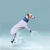 winter-overall-for-italian-greyhound-and-whippet-gp-pet-wear