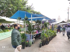 Barraca em alumínio para Flores e Roupas - loja online