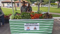Padronização feira (Cidade Piedade) - loja online