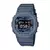 CASIO DW-5600CA-2DR