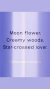 Fragrance Mist 250 ml (midnight mist) na internet