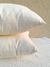 ALMOHADON EVER RAYA 45X45 - comprar online