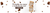 Imagem do banner rotativo msgagencia