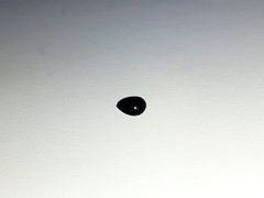 Diamante Negro 0,70 ct na internet