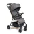 Coche Rider ELIS 124
