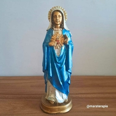 Sagrado Coração de Maria 21cm em resina importada com adornos